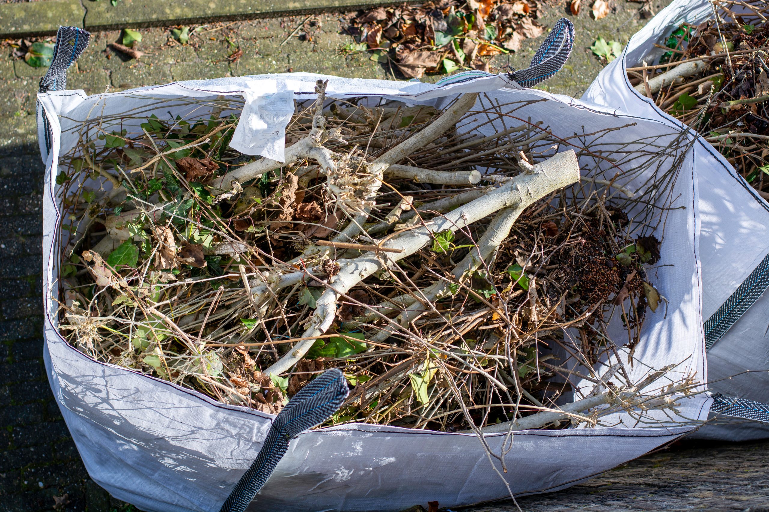 Garden Clearance Kennington SE11