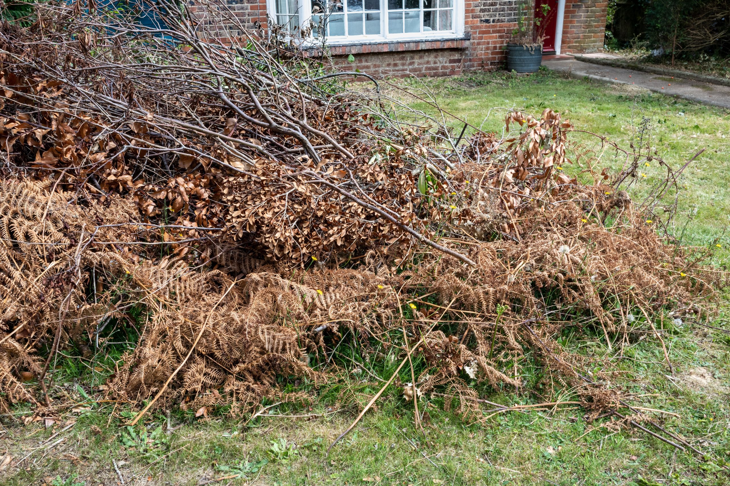 Garden Green Waste Removal Kennington SE11